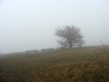 Fti Somly